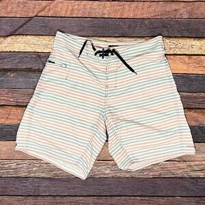 Patagonia Men's Striped Board Shorts Surfer Surfing Bathing Suit Swimwear